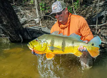 Agua Boa Amazon Lodge accommodations