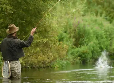 Watch the English Chalkstream video