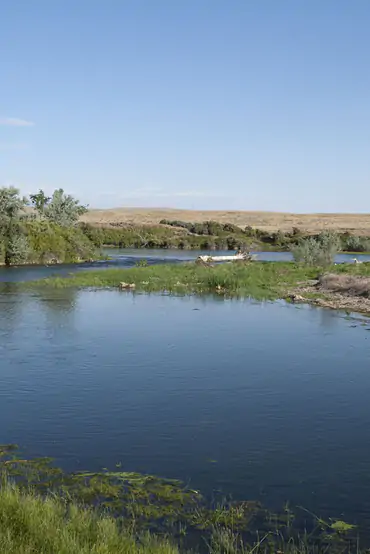 Bighorn River trout fishing near Royal Big Horn Club
